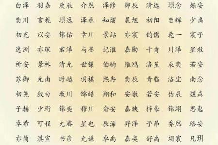 2019年6月11号卯时出生的男孩起名方法姓名